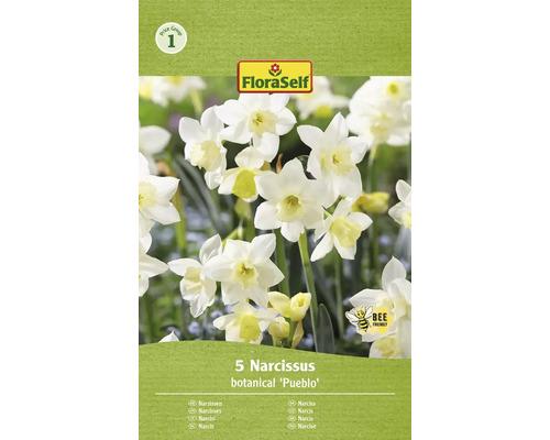 Narcisy FloraSelf 'Pueblo' 10'/11 5 ks