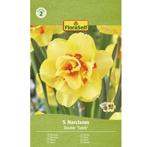 Narcisy plnokvěté FloraSelf 'Tahiti' 5 ks