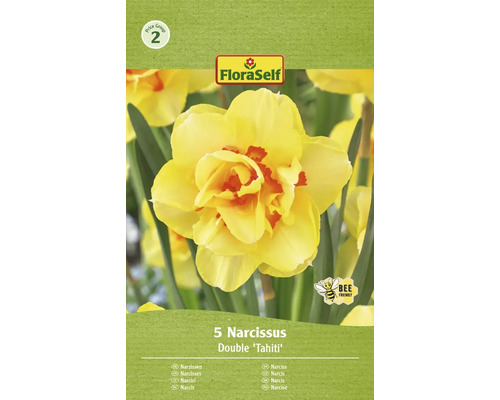 Narcisy plnokvěté FloraSelf 'Tahiti' 5 ks