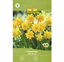 Narcisy FloraSelf 'Tête Bouclé' 10/12 5 ks