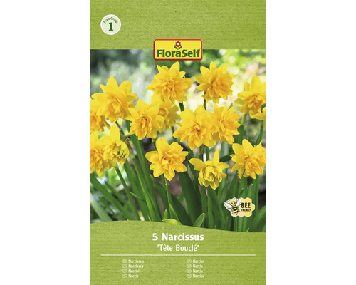 Narcisy FloraSelf 'Tête Bouclé' 10/12 5 ks