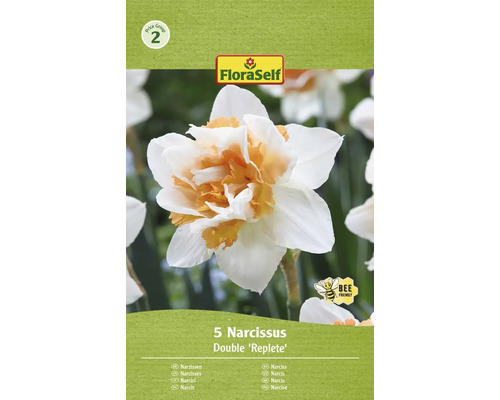 Narcisy plnokvěté FloraSelf 'Replete' 12/14 5 ks