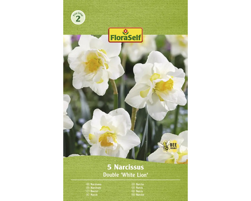 Narcisy FloraSelf 'White Lion' 5 ks