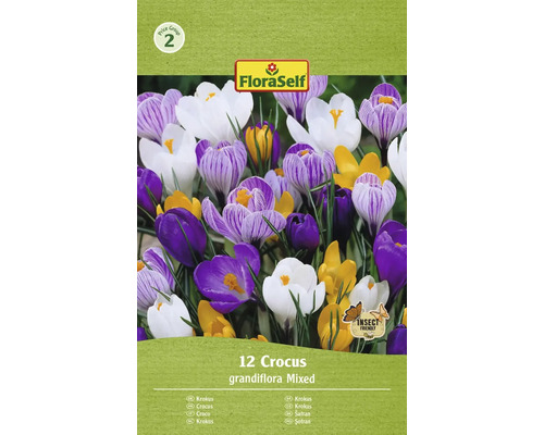 Krokusy FloraSelf 'Grandiflora mix' 12 ks