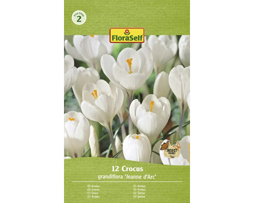 Krokusy FloraSelf 'Jeanne d'Arc' 12 ks
