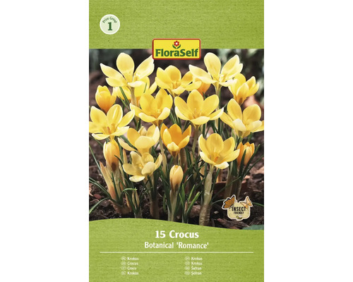 Krokusy FloraSelf 'Romance' 15 ks