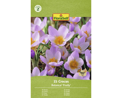 Krokusy 5/7 FloraSelf 'Firefly' 15 ks