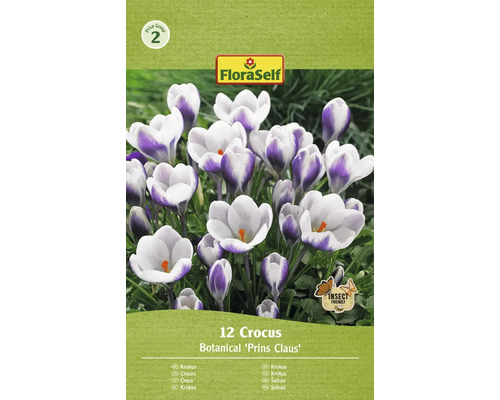 Krokusy FloraSelf 'Prins Claus' 5/7 12 ks