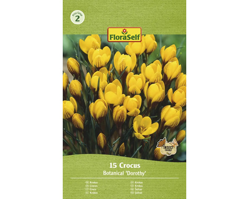 Krokusy FloraSelf 'Dorothy' 15 ks