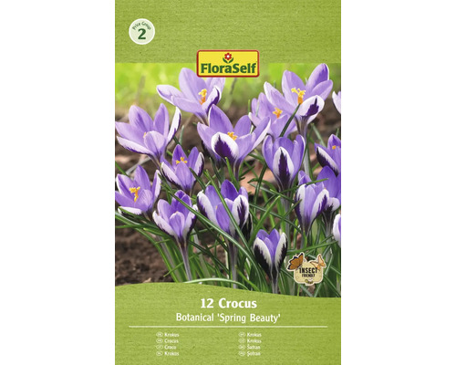 Krokusy FloraSelf 'Spring Beauty' 5/7 12 ks