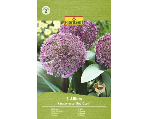 Okrasný česnek Red Giant FloraSelf 'Red Giant' 10/12 3 ks