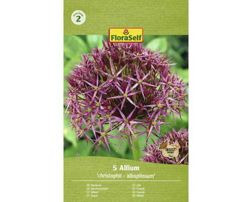 Okrasný česnek FloraSelf 'Albopilosum' 5 ks
