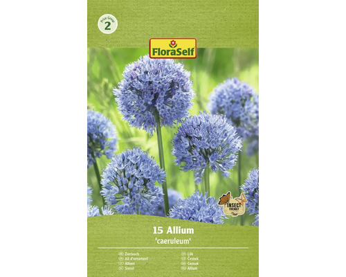 Okrasný česnek FloraSelf 'Caeruleum' 15 ks
