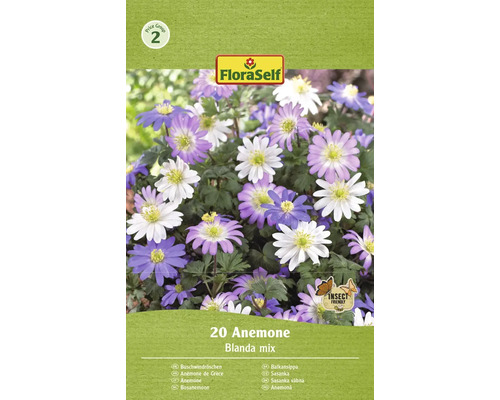 Sasanky balkánská FloraSelf 'Blanda mix' 20 ks