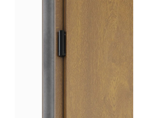 Detail dveří s pantem a rámem