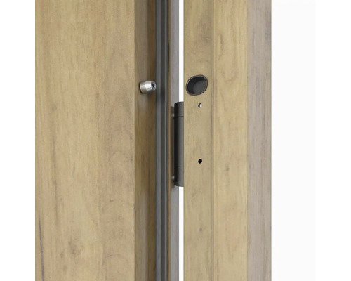 Detailní pohled na dřevěné dveře se zámkem a kováním