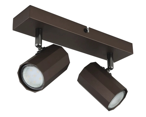 Stropní svítidlo se dvěma bodovými světly