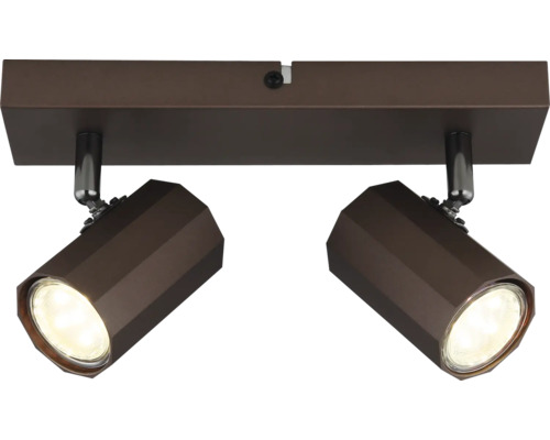 Stropní svítidlo se dvěma reflektory