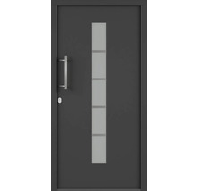 Vchodové dveře se skleněnou výplní a klikou