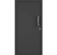 Vchodové dveře s madlem