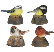 Čtyři ozdobní zahradní ptáci na pařezech