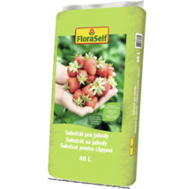 FloraSelf substrát pro jahody, 40 litrů