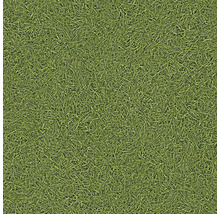 Zelená plocha s trávníkovou strukturou