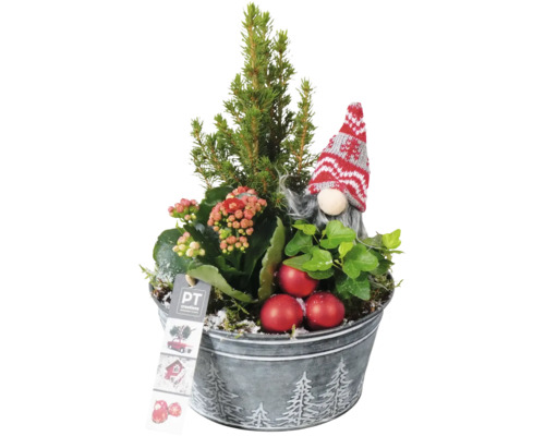Aranžmá mini vánoční stromek FloraSelf výška cca 25 cm zinkový květináč Ø 18 cm