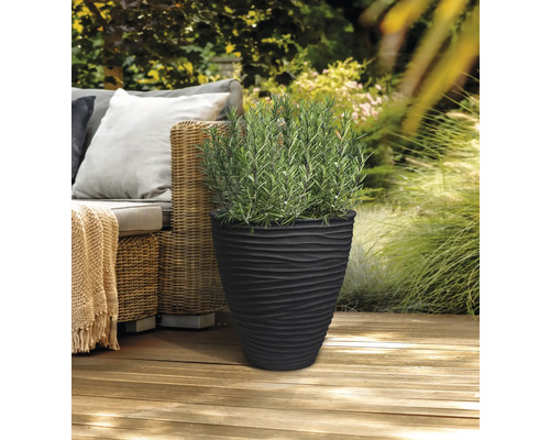 Černý květináč s vlnitým designem a rostlinou rozmarýnu na terase