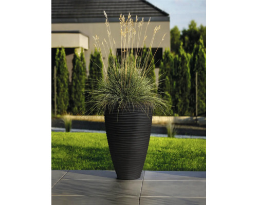 Okrasná rostlina v žebrovaném květináči venku.