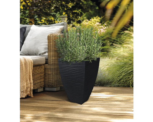 Černý květináč se vzorem a zelenou rostlinou na dřevěné terase