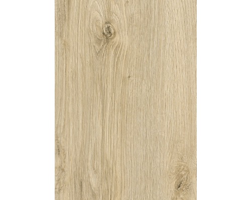 Dřevěná deska s kresbou dřeva