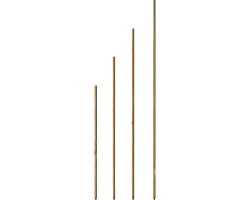 Bambusové tyče různých velikostí