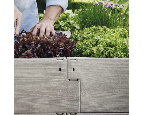 Zvýšený záhon osázený salátem a bylinkami