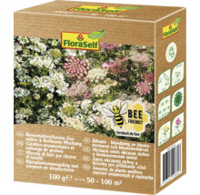 Balení semen FloraSelf Míchaná směs okrasné mrkve a širokosemenné směsi