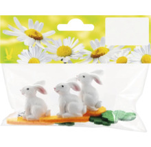 Sada tří dekorativních velikonočních zajíčků na mrkvi a zeleni v balení