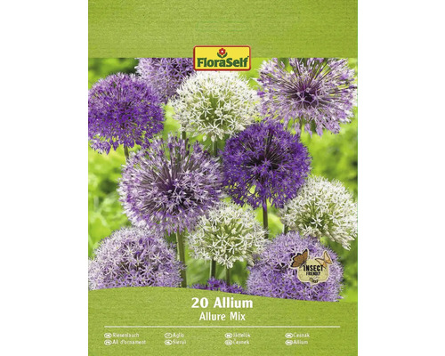 Okrasný česnek FloraSelf 'Allium Deco mix' 20 ks