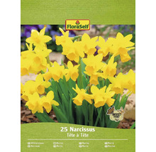 Balení narcisů odrůdy Tête à Tête s pečetí Insect Friendly