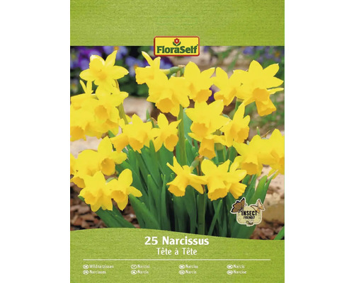 Narcisy botanické FloraSelf 'Tete a Tete' 10/11 20 ks