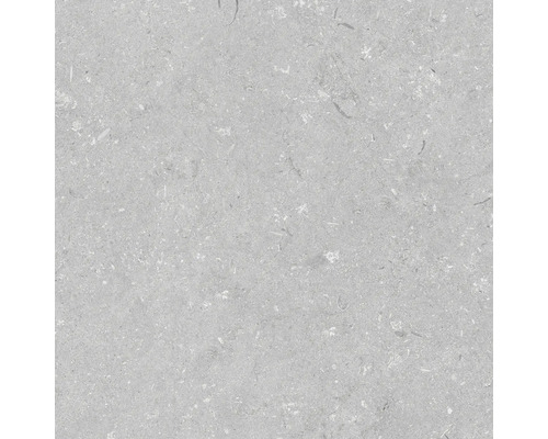 Keramická dlažba 60x60x2 cm Shellstone Grigio Detail šedé dlaždice z přírodního kamene