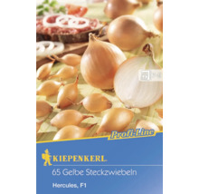 Logo Kiepenkerl, 65 žlutých sazeček cibule, Hercules F1
