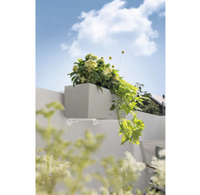 Šedý truhlík s držákem a rostlinami na zdi.