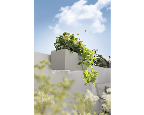 Šedý truhlík s držákem a rostlinami na zdi.