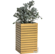 Dřevěný květináč s eukalyptem