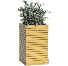 Dřevěný květináč s eukalyptem