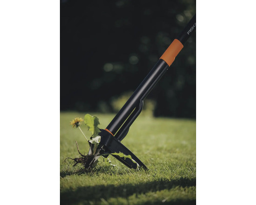 Vytrhávač plevele v akci, odstraňuje jednotlivou květinu z trávníku