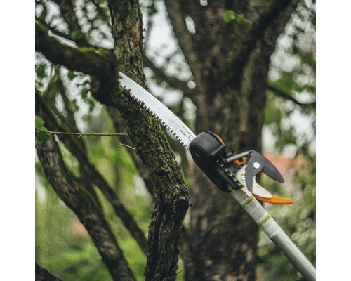 Nůžky na větve stříhají větev stromu
