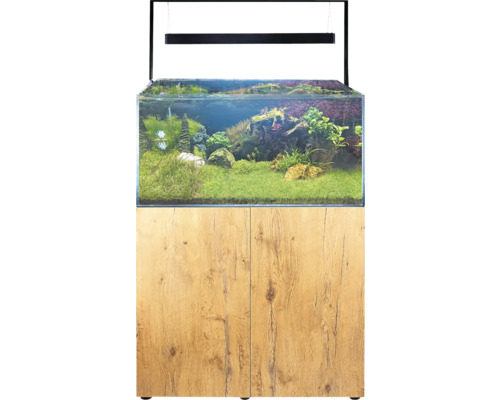 Akvárium s podstavcem a rostlinami