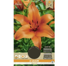 Balení tří oranžových lilií