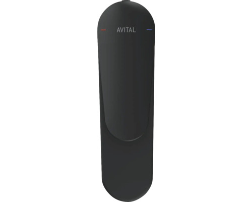 Kuchyňská baterie Avital v tmavém provedení